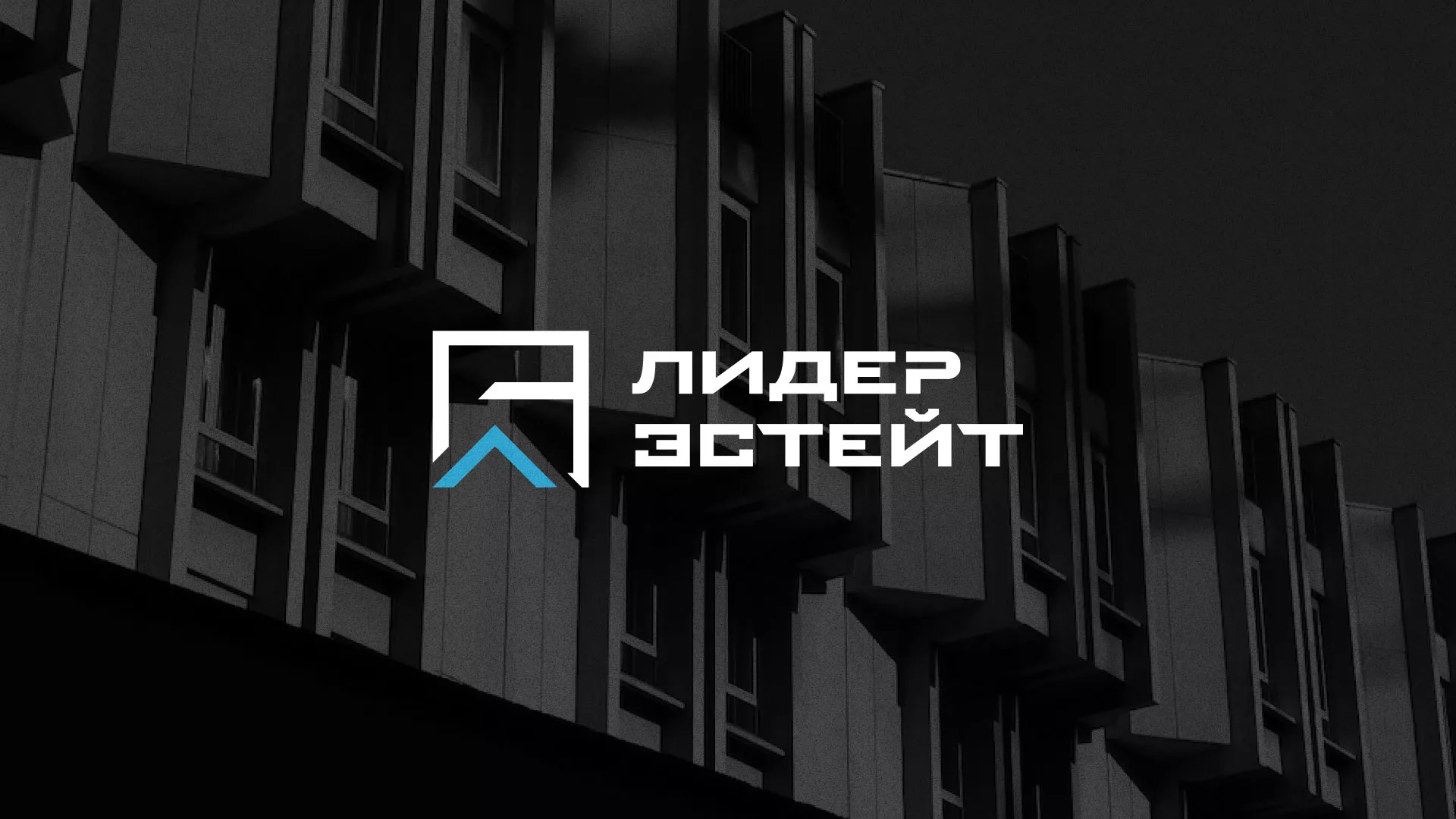 Разработка логотипа агентства недвижимости «Лидер Эстейт» в Харабалях